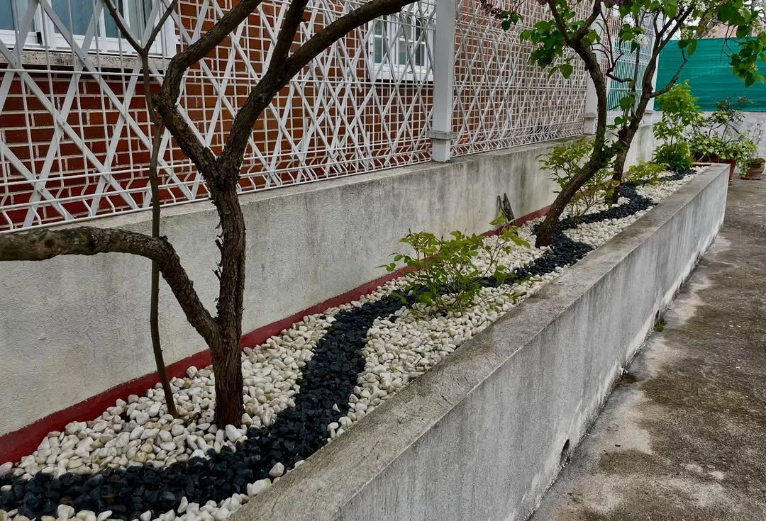 Creación y renovación de jardines 7